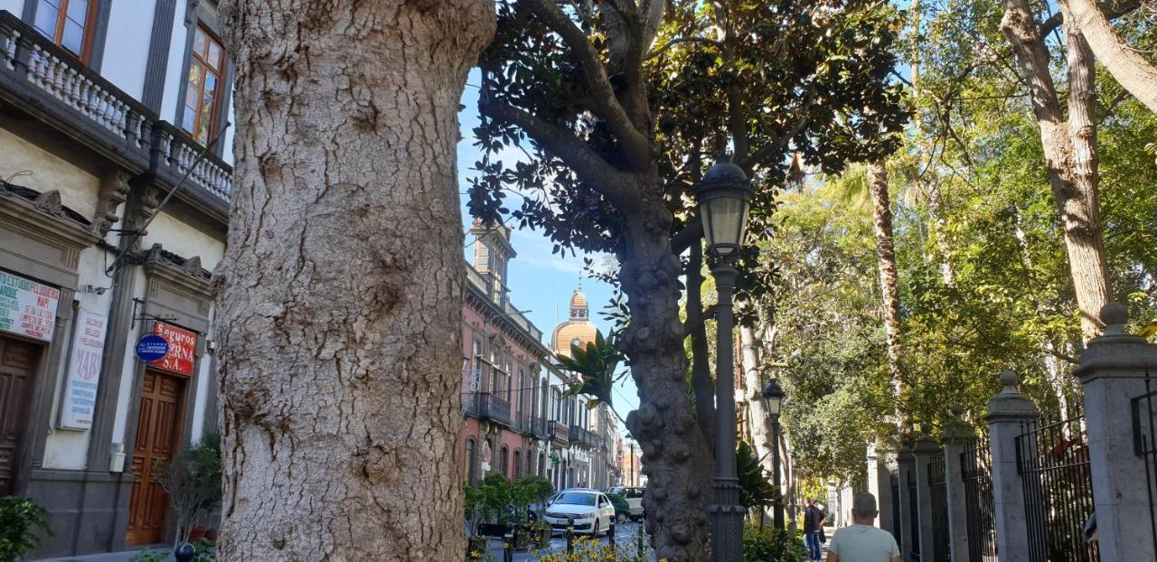 Вилла Casa Isabel Centro Historico Арукас Экстерьер фото